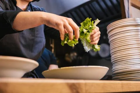 Chef hands preparing fresh green salad in kitchen Stock Photos