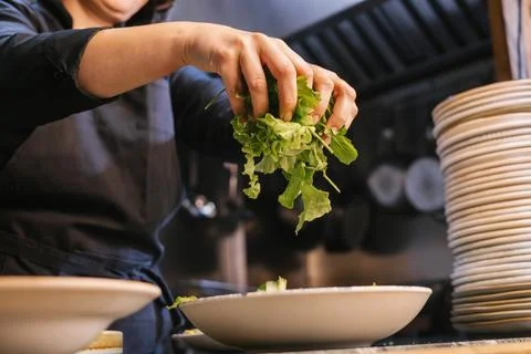 Chef hands preparing fresh green salad in kitchen Stock Photos