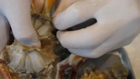 Chef Hands Preparing Traditional Italian Seafood Pizza with Fresh Crab Video stock 337677311