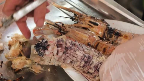 Chef Hands Using Kitchen Scissors to Cut Open Cooked Mantis Shrimp Seafood Stock Footage 344222584