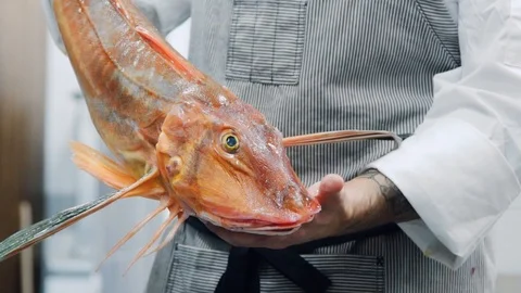 The chef is holding the fish. Stock Footage 113852594