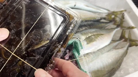 Chef Holding Fresh Firefly Squid, Sweet Shrimp And Wakame Seaweed, Japan Stockbeeldmateriaal 339770374