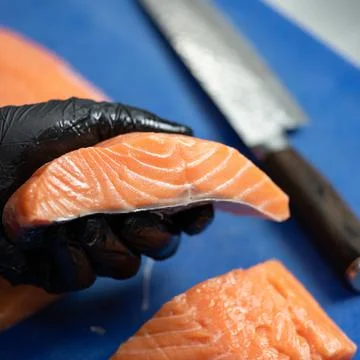 Chef holds slice of red fish. Hand in black glove holding pieces of fresh salmon Stock Photos