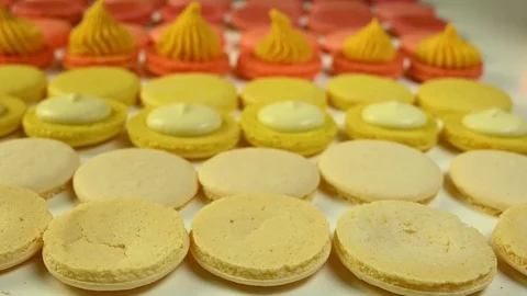 Chef with injector squeezing macaron cream Stock Footage 120400960