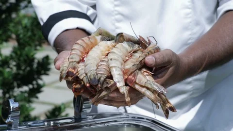 Chef with Jumbo Shrimps Vídeo Stock 122866960