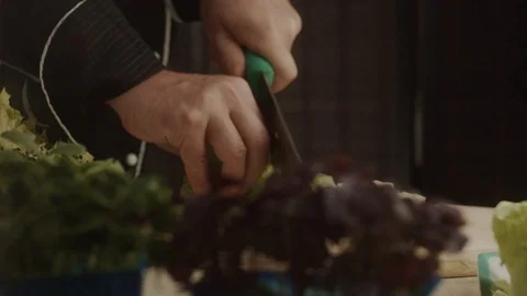Chef in the kitchen in slow motion on wooden board with knife cuts the leaves of Stock Footage 113550408