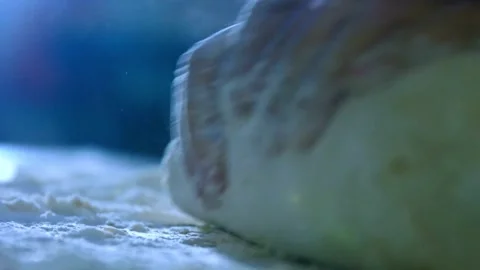 Chef Making bread Baker kneading dough flour on wooden table enjoying hobby.. Stock Footage 272566321