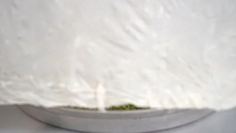 The chef is making the carrot slice baklava recipe. Stock Footage 150083765