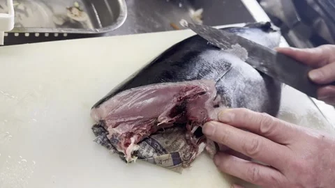 Chef making an incision along the dorsal fin of a young bluefin tuna Stock-Footage 338148908