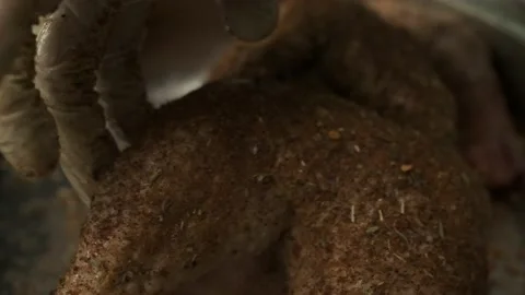 Chef Marinating Raw Chicken Body Stock Footage 147233074