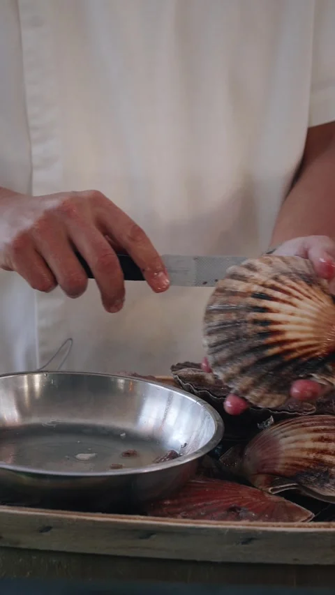 Chef opening fresh scallops shells 4K vertical video Stock Footage 317420483