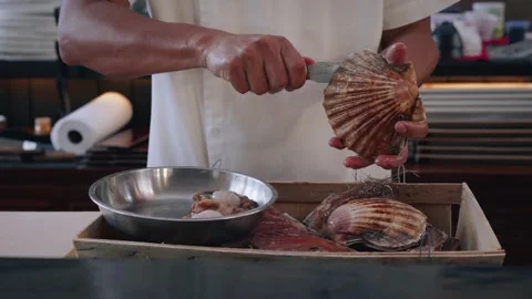 Chef opening fresh scallops shells 4K Stock Footage 317456863