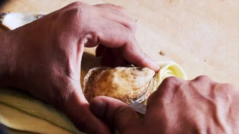 Chef opening an oyster 库存影片 201895018