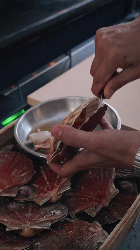 Chef opening scallops vertical closeup 4k video Stock Footage 317456867