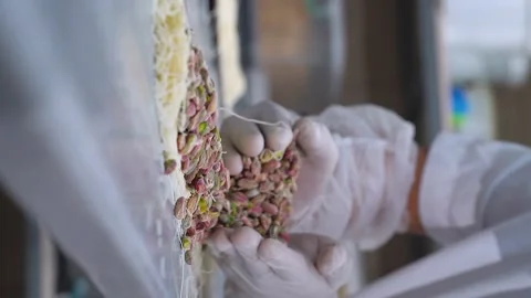 The chef of oriental sweets adds pistachios to the kunafa dough , vertical Stock Footage 255103346