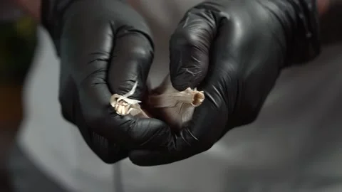 Chef peeling garlic with hands in gloves Stock Footage 168840039