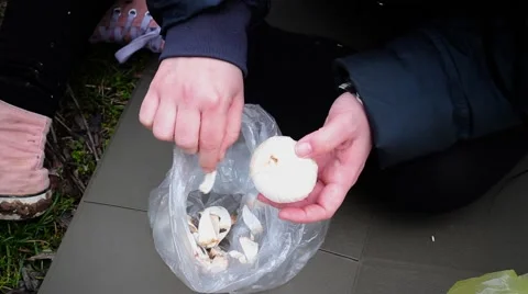 Chef Peeling mushroom Video stock 61965708