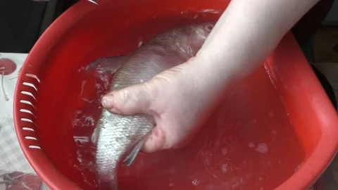 The chef peels raw fish Stock Footage 160947373