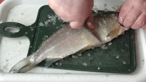 The chef peels raw fish with a knife Stock Footage 162716547