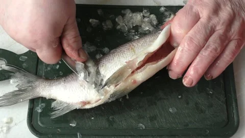 The chef peels raw fish with a knife Stock Footage 163049185