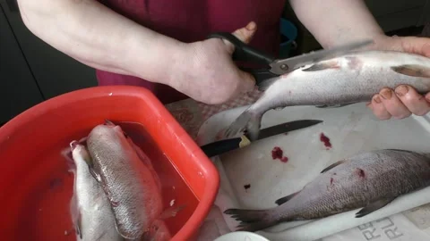 The chef peels raw fish with a knife Stock Footage 164034409