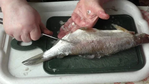 The chef peels raw fish with a knife Stock Footage 164035050