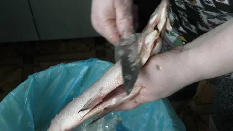 The chef peels raw fish with a knife Stock Footage 164037014