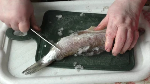 The chef peels raw fish with a knife Stock Footage 164353560