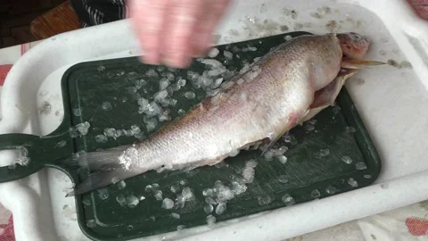 The chef peels raw fish with a knife Stock Footage 166334074