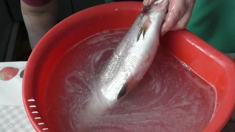 The chef peels raw white fish Stock Footage 165209081