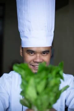 Chef Stock Photos