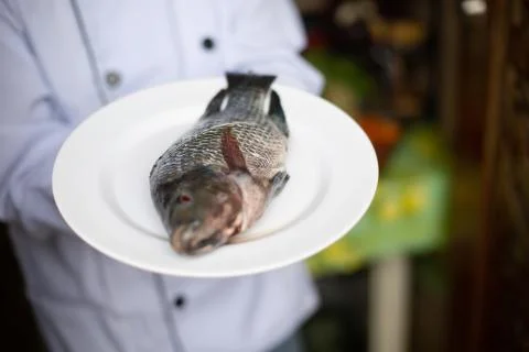 Chef Stock Photos