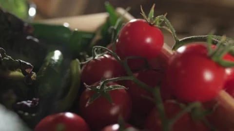 Chef picking bunch of tomatoes from a basket of herbs with a gloved hand Stock Footage 315283613