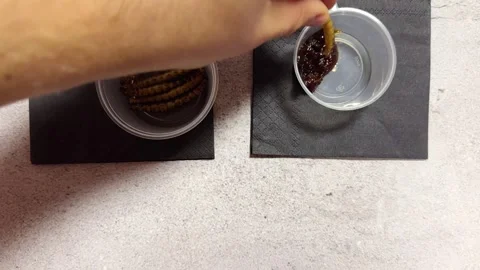 Chef picking up edible worm with sauce for tasting Stock Footage 292446556