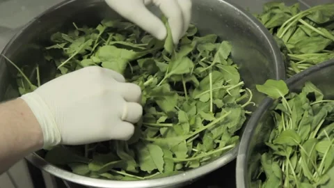 Chef picking up fresh sorrel from large salad bowl. Chef preparing ingredients Stock Footage 131336001