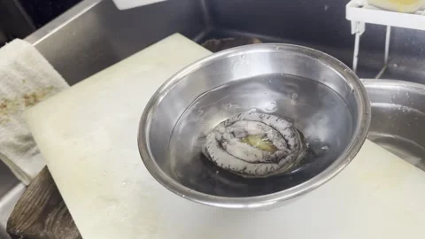 Chef Placing A Cleaned Abalone Into A Bowl Of Water With Kombu Kelp Stock-Footage 338239903