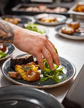 Chef plating dish Stock Photos