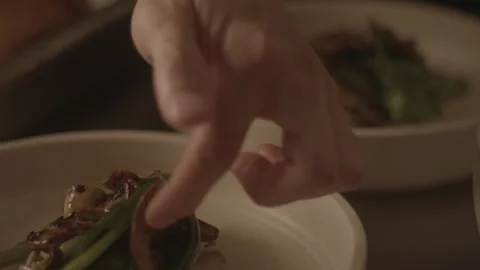Chef Plating up Vegetarian Food Stock Footage 254459475