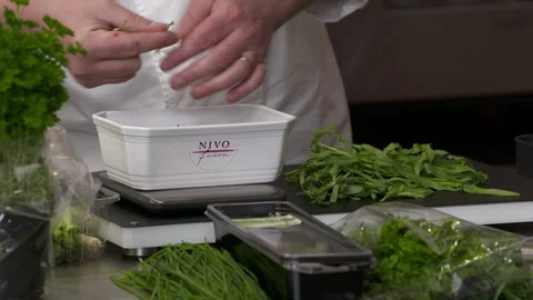 Chef plucking herbs Stockbeeldmateriaal 92069254