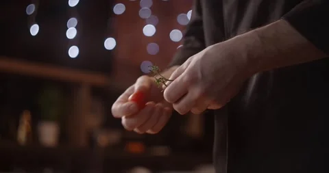 Chef plucks cherry tomatoes off the branch in pizzeria Stock Footage 266924932