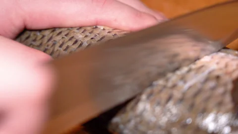 Chef prepares carp for baking, makes cuts, close-up Stock Footage 248529116
