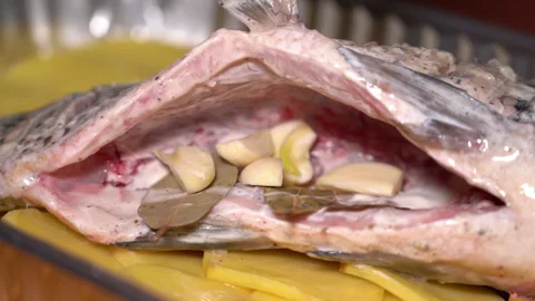 Chef prepares carp for baking, puts garlic inside Stock Footage 248529139