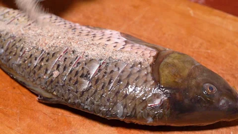 Chef prepares carp for baking, sprinkles with spices Stock Footage 248528321