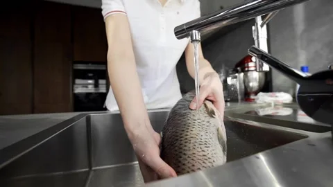 Chef prepares fish for cooking Stock Footage 143779111