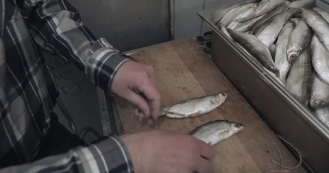 Chef prepares fish for smoking 스톡 동영상 83949223