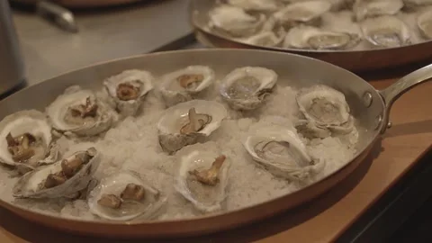 Chef prepares oysters on the half shell Stock Footage 220796147
