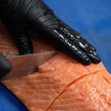 Chef prepares raw red fish. Hands in black glove cutting pieces of fresh salmon Stock Photos