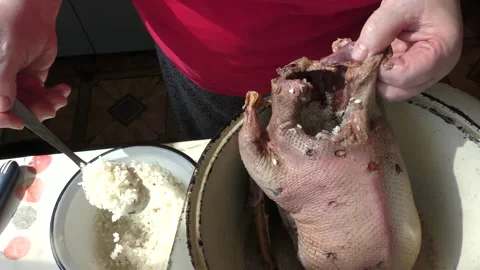 The chef prepares a wild goose for dinner Stock Footage 196313320