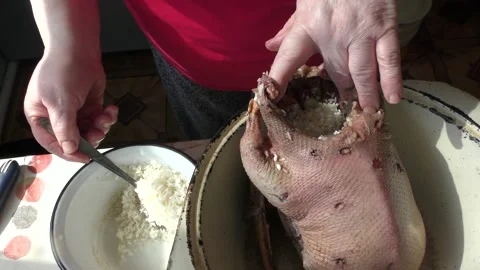 The chef prepares a wild goose for dinner Stock Footage 196314175