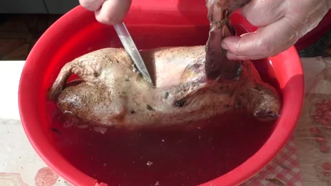 The chef prepares a wild goose for dinner Stock Footage 196317235